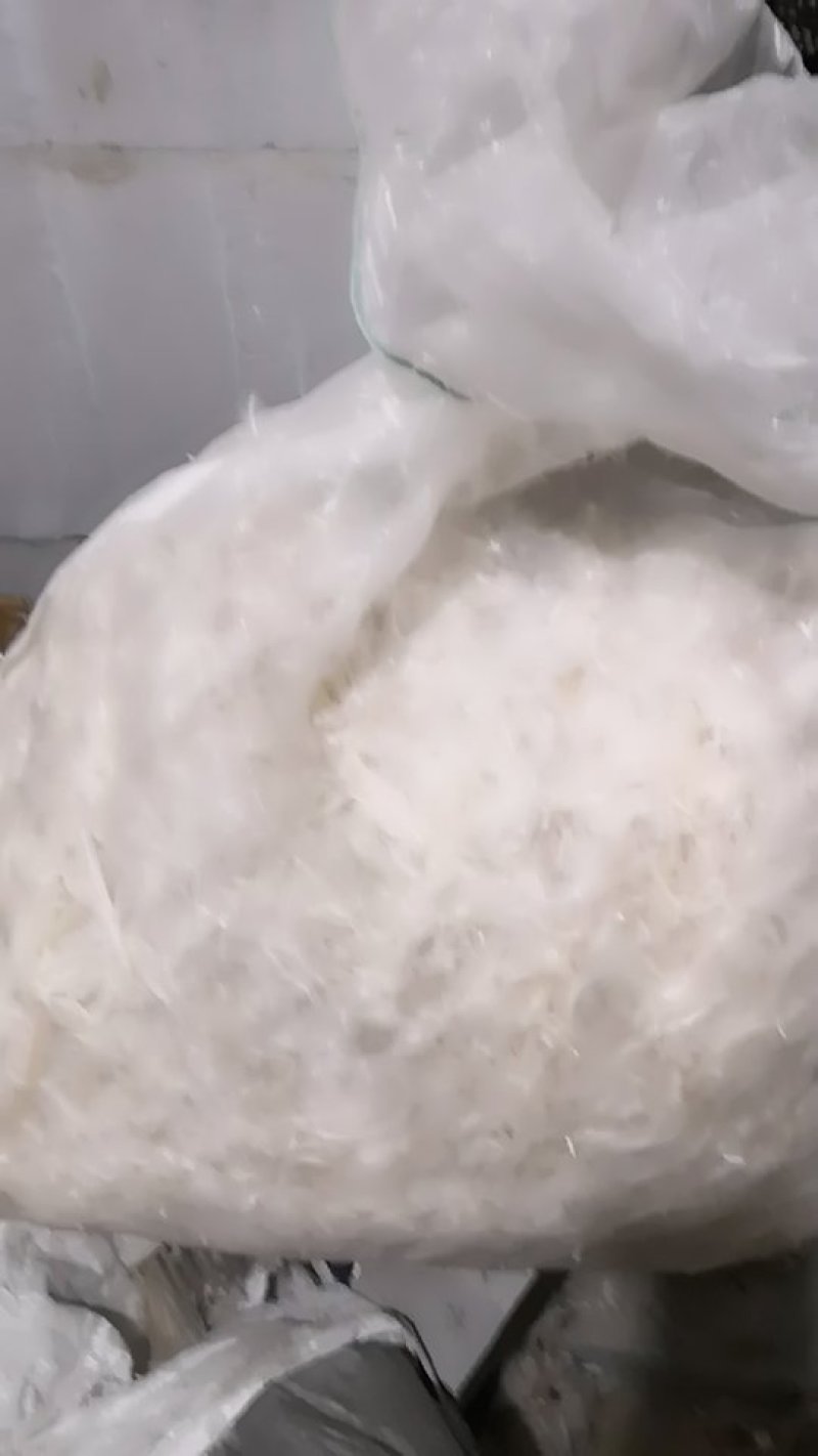 老鹅白毛