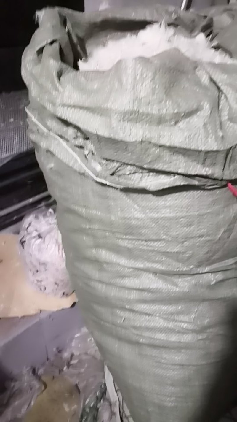 鹅毛，刀翔毛