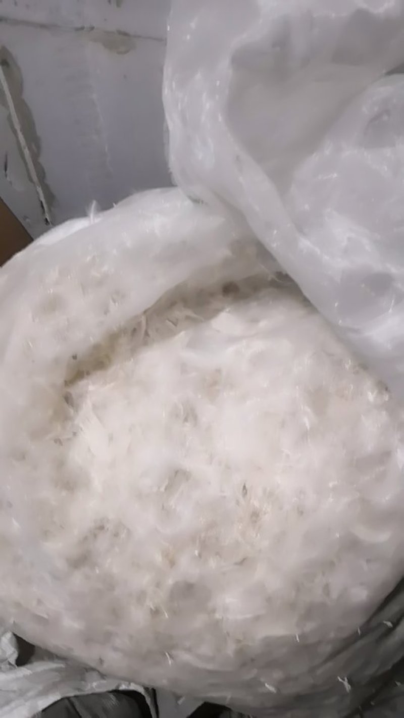 鹅毛，刀翔毛