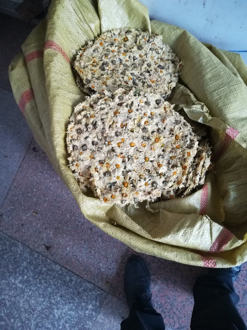 白菊花茶新货福白菊饼杭白菊花湖北麻城仙羊岩菊花