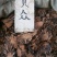 绵马贯众东北切片贯众绵马野鸡膀子牛毛黄