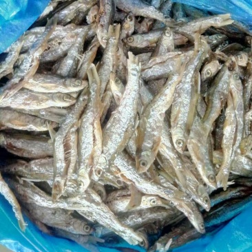 油炸开肚白肖鱼油炸
