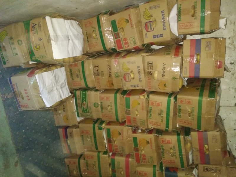 荷兰十五鲜土豆货源充足