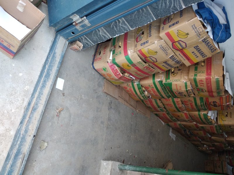 荷兰十五鲜土豆货源充足