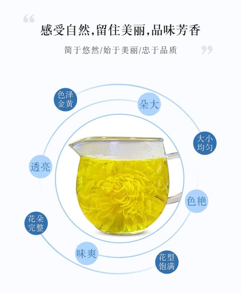 金丝皇菊100包售0.4.元，5000包以上0.36