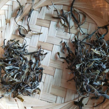 云南凤庆古树红茶