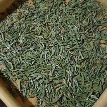 湄潭翠芽