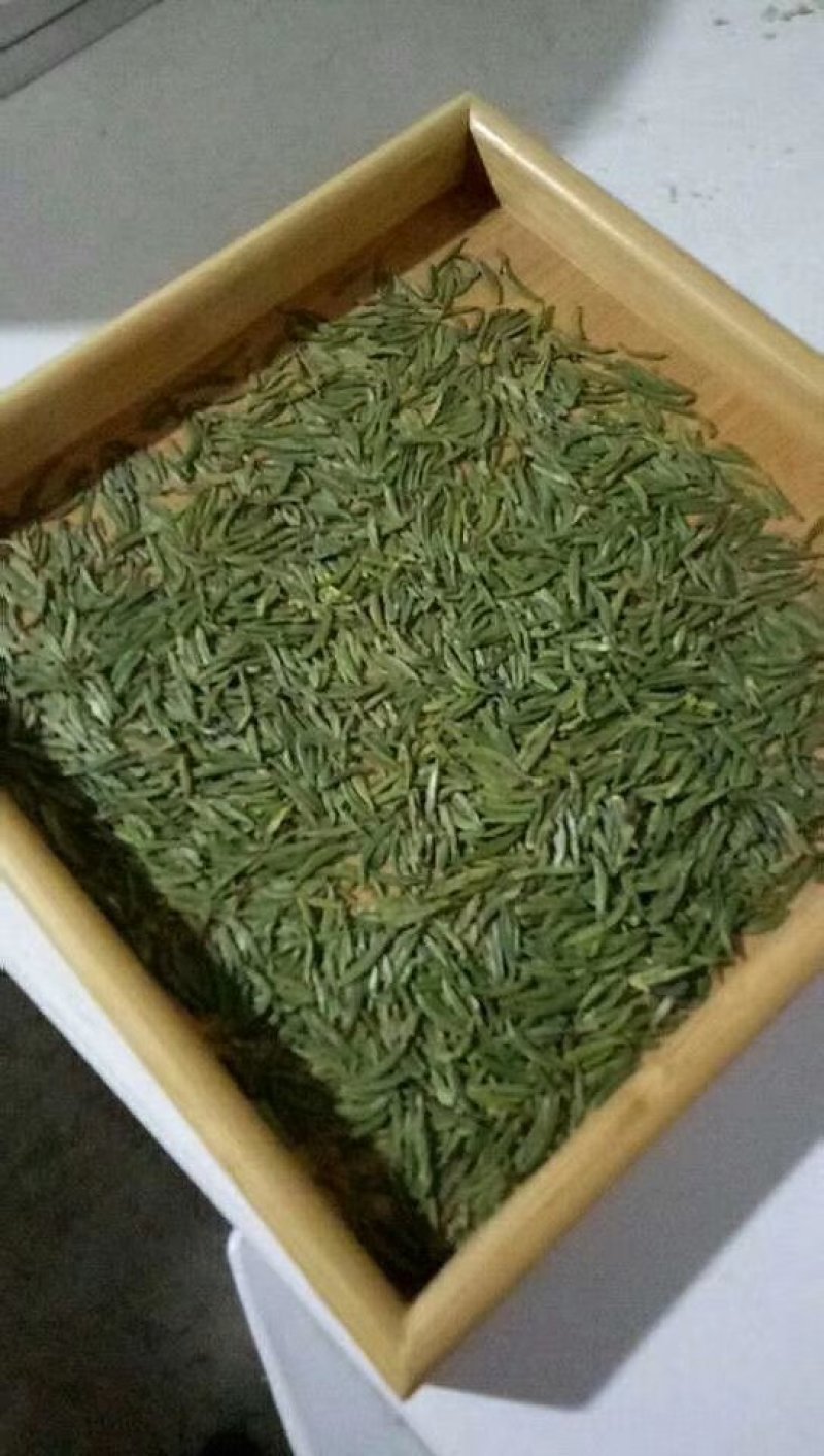 湄潭翠芽