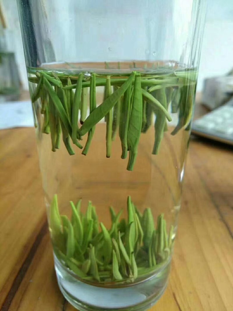 湄潭翠芽