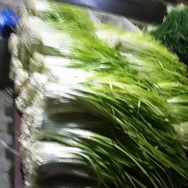 青韭黄5块