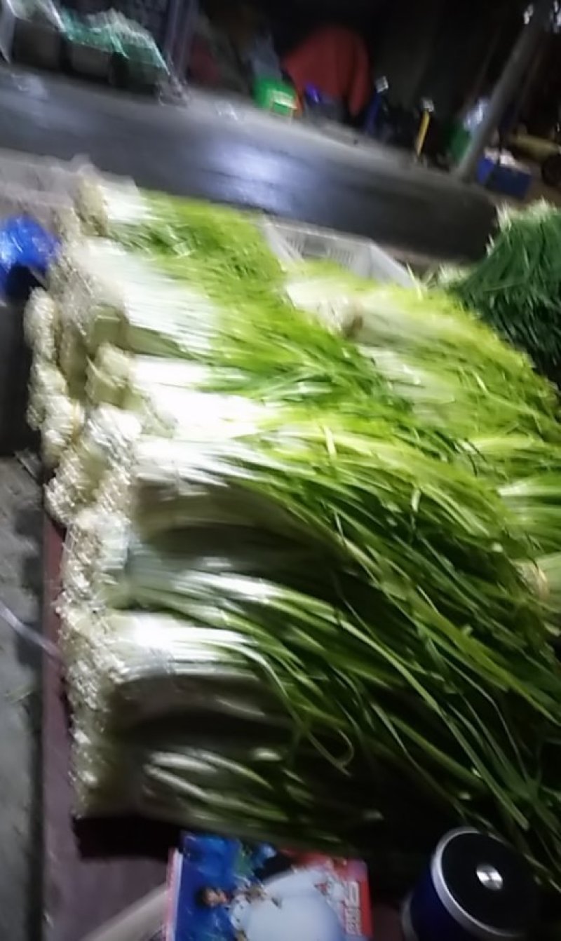 青韭黄5块