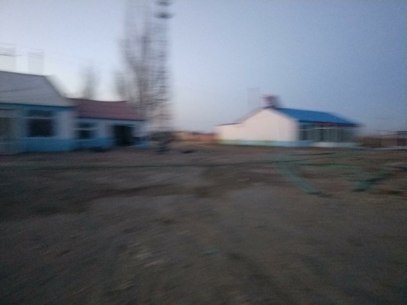 内蒙古通辽市科尔沁左翼中旗有五百左右亩黑沙质土地寻找合作