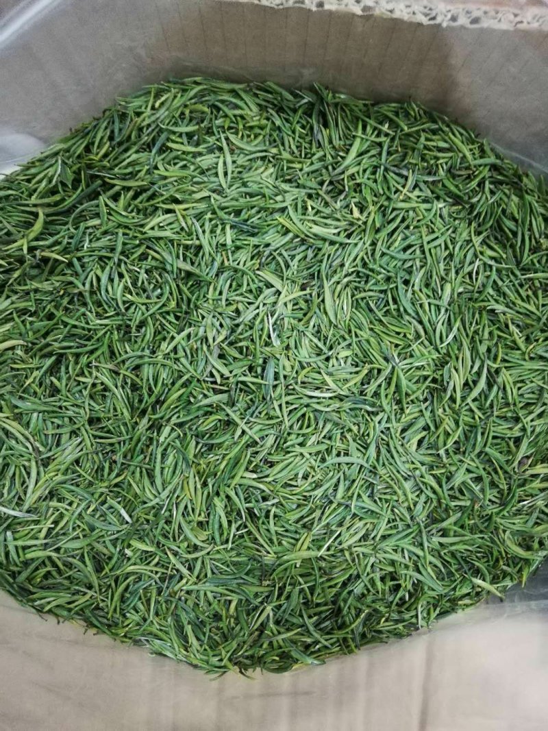 大量供应富硒红茶、贡牙、玉露、毛尖、明前香、龙井玉露