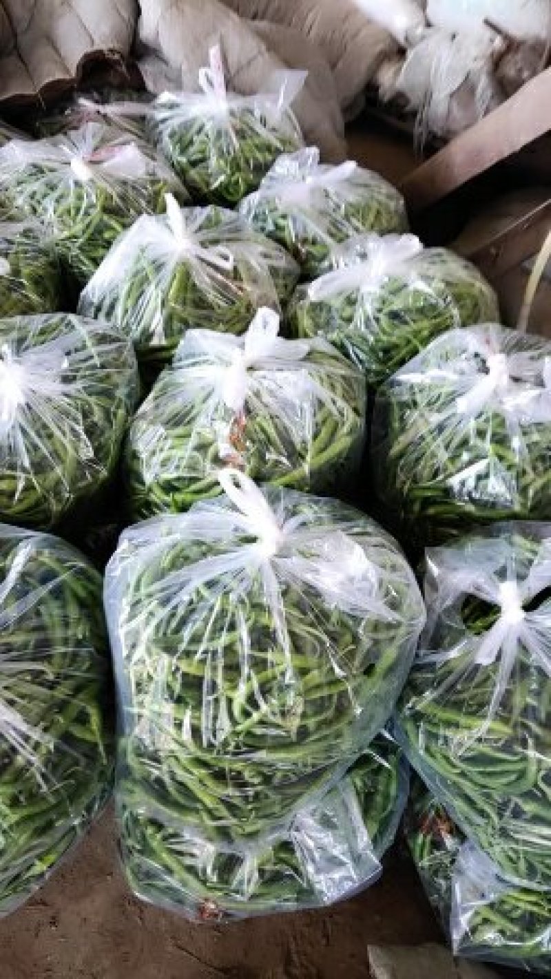 各种鲜辣椒大量上市