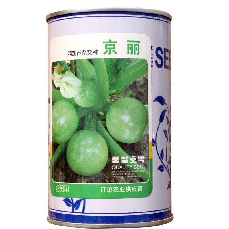 大田菜园高产易种短蔓杂交圆西葫芦种子
