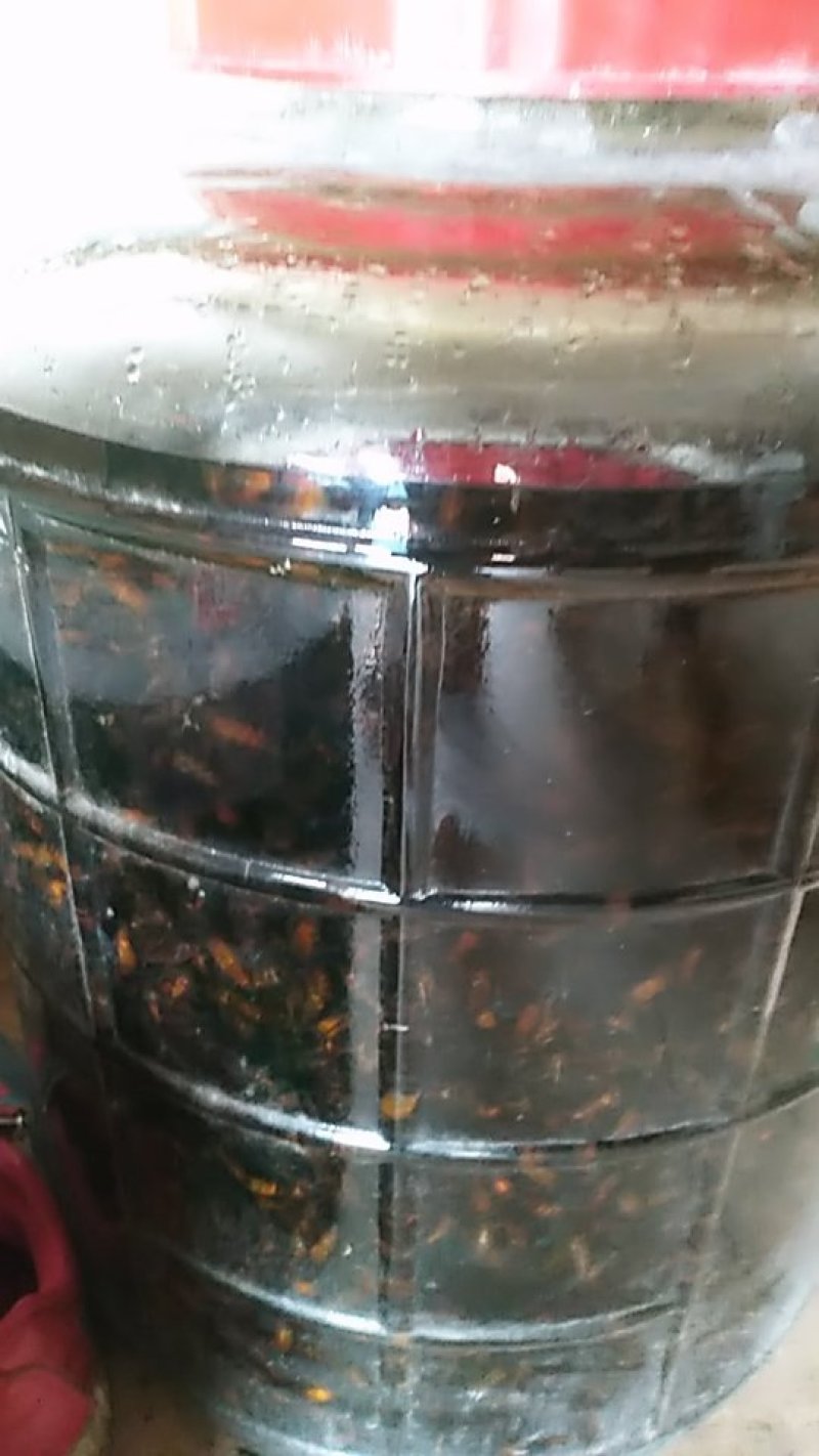 蜂酒，保健