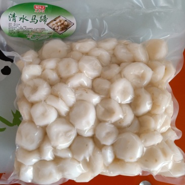 精品清水马蹄荸荠去皮马蹄保质12个月