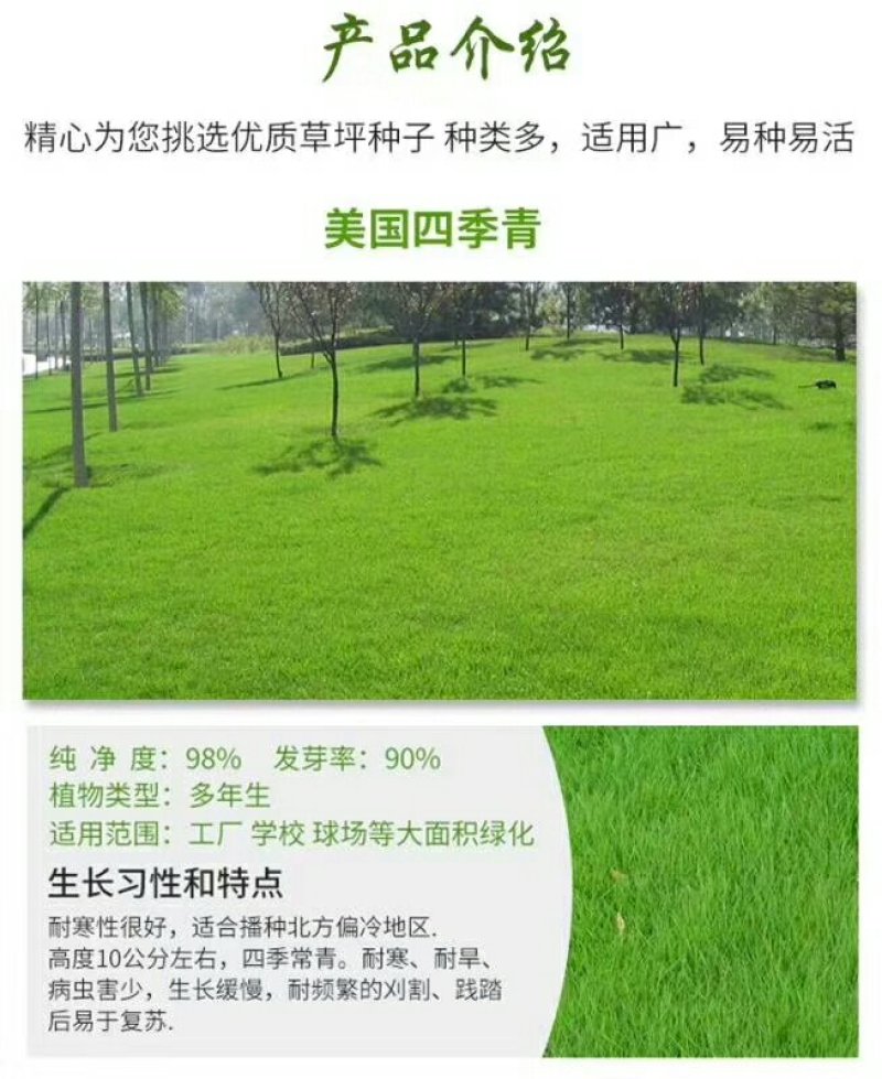 护坡草籽价格