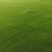 护坡草籽价格