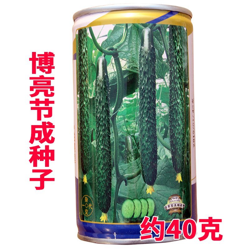 大田菜园高产易种杂交油亮嫩脆黄瓜种子40g一罐