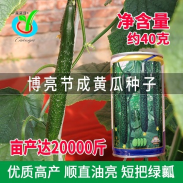 大田菜园高产易种杂交油亮嫩脆黄瓜种子40g一罐