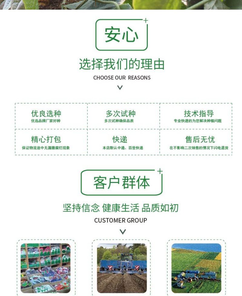 大田菜园高产易种杂交油亮嫩脆黄瓜种子40g一罐