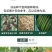 大田菜园高产易种杂交油亮嫩脆黄瓜种子40g一罐