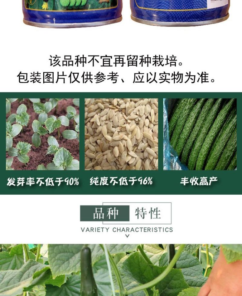 大田菜园高产易种杂交油亮嫩脆黄瓜种子40g一罐