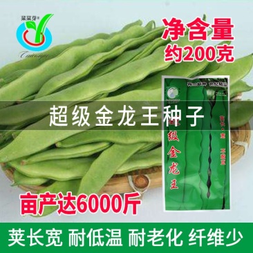 大田菜园高产易种长宽荚肉厚豆角种子