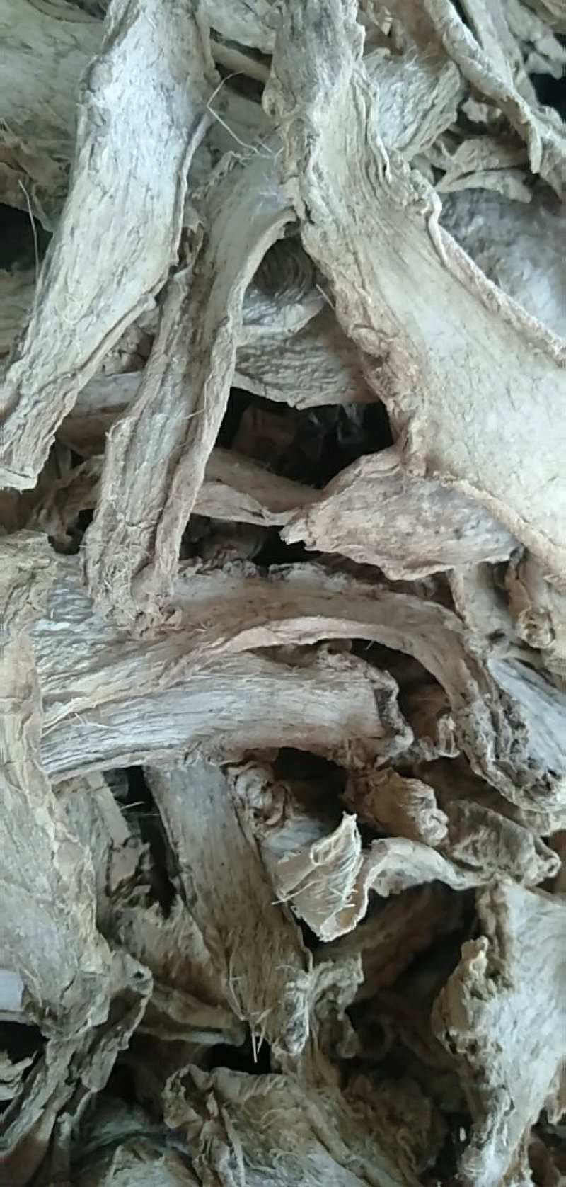 干姜片