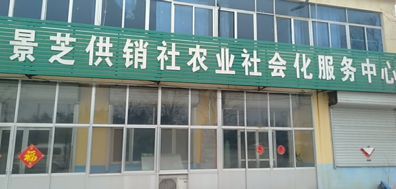 干姜片