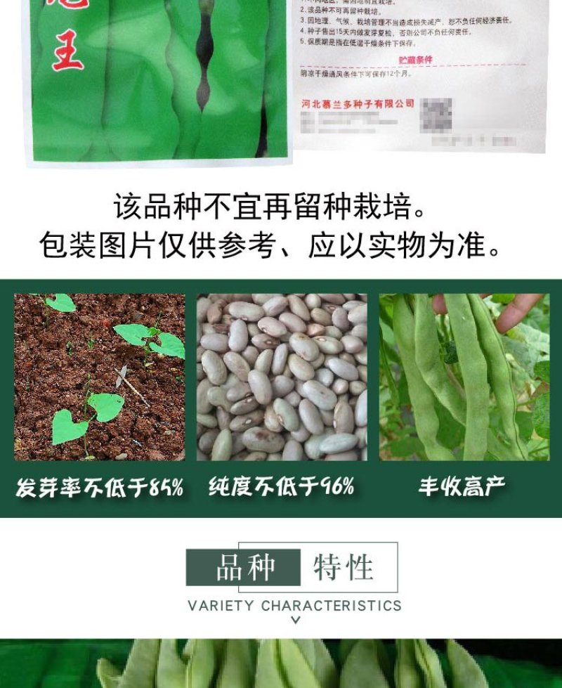 大田菜园高产易种长宽荚肉厚豆角种子
