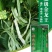 大田菜园高产易种长宽荚肉厚豆角种子