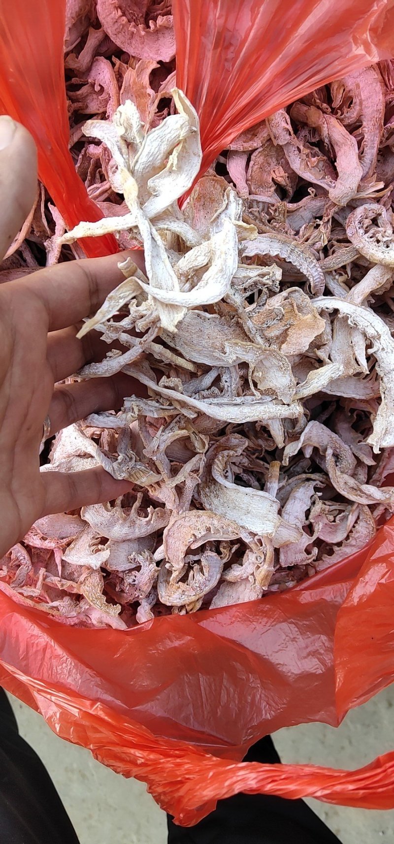 优质笋干，小片，毛竹笋