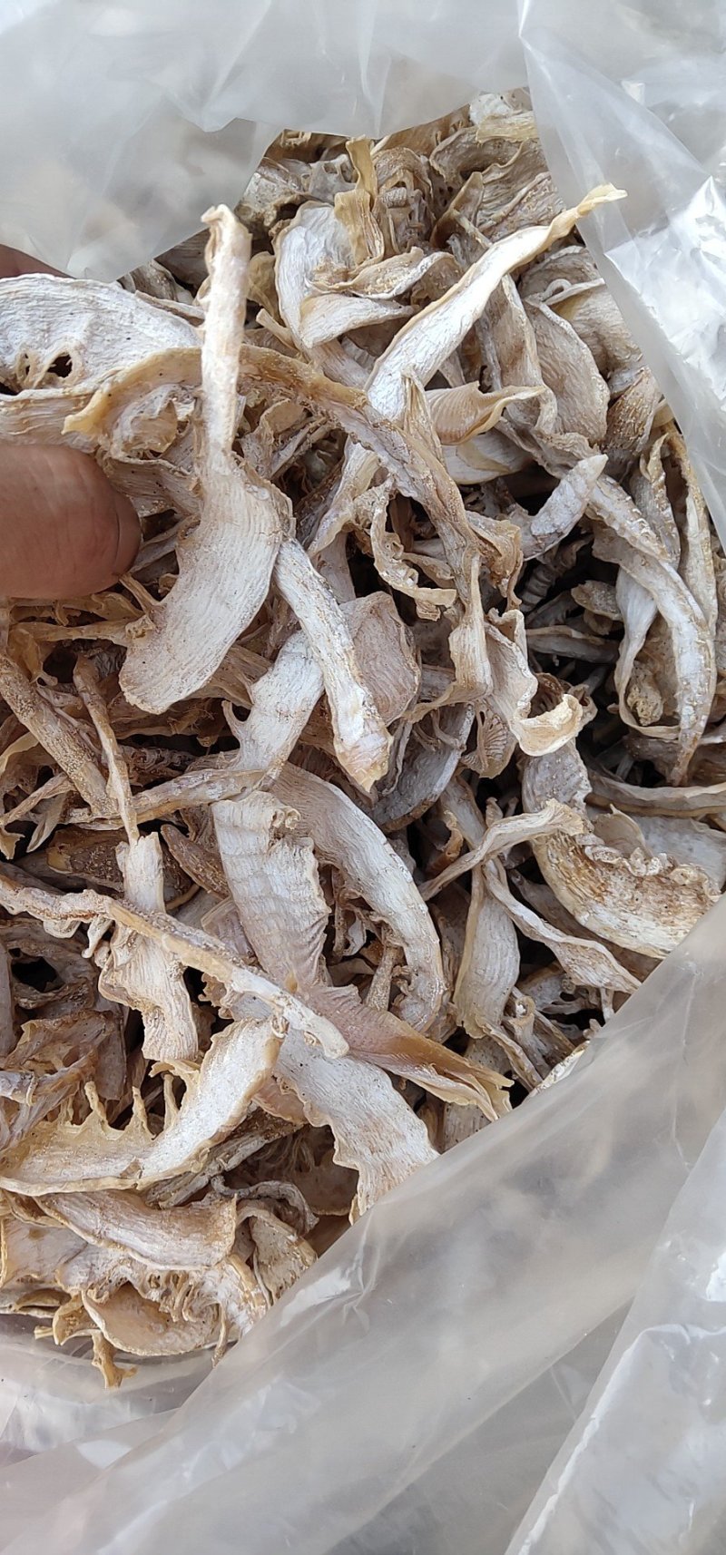 优质笋干，小片，毛竹笋