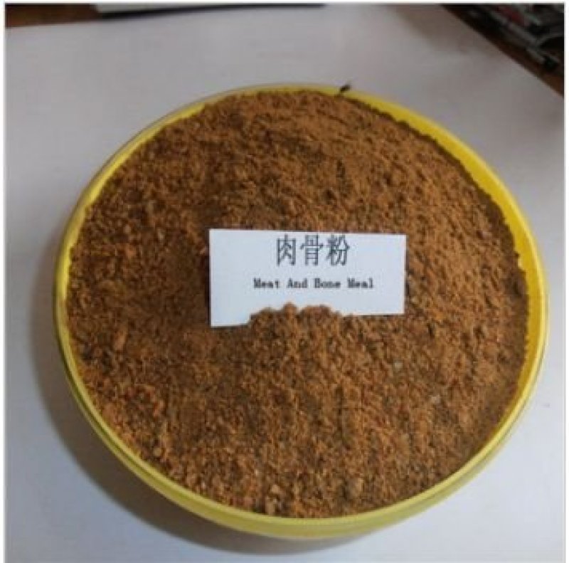 乌拉圭肉骨粉