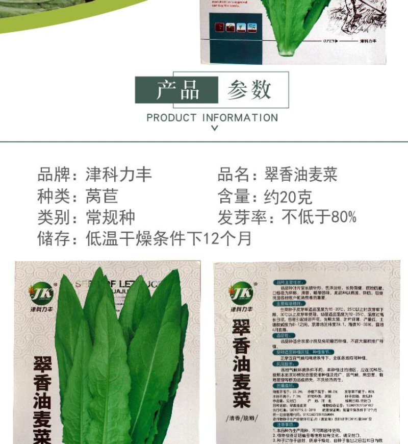 大田菜园高产易种清香脆嫩油麦菜种子