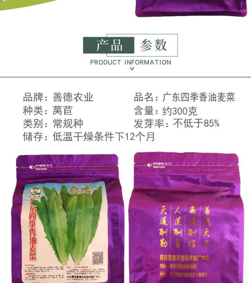 大田菜园高产易种耐热香脆爽口油麦菜种子