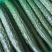 密刺黄瓜22~25公分干花带刺