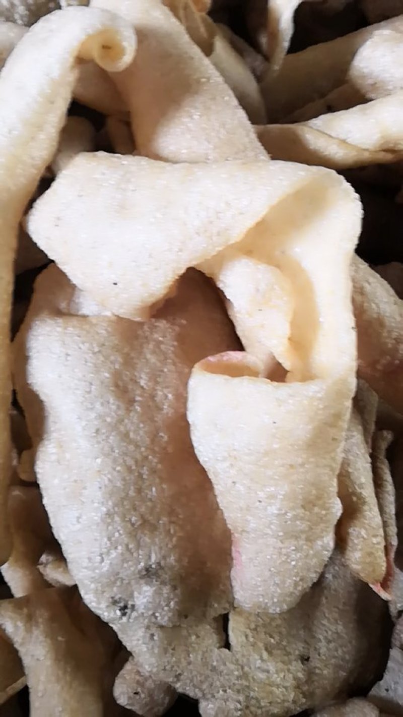 现泡水发猪皮