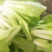 黄金小白菜