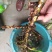 臭蒲根野生新鲜水菖蒲根剪须发