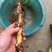 臭蒲根野生新鲜水菖蒲根剪须发