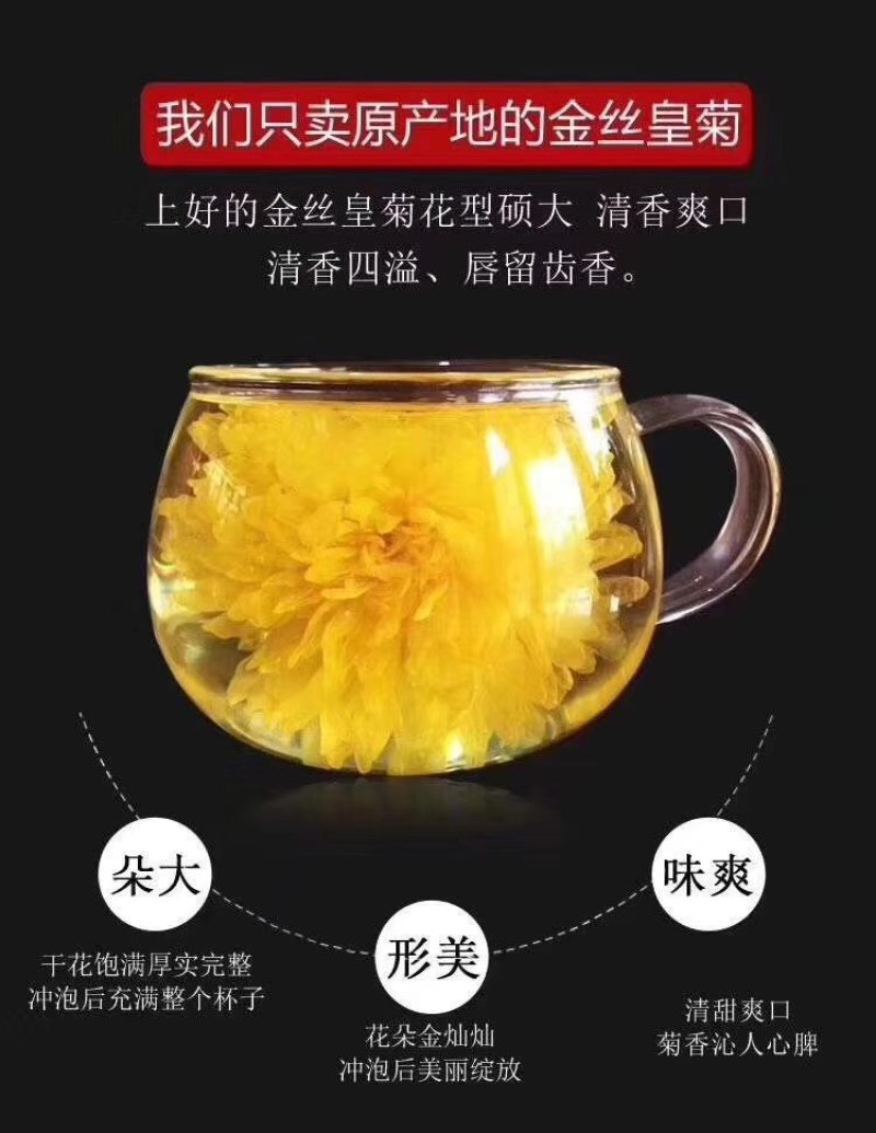 金丝皇菊