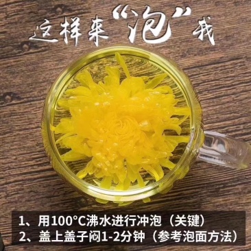 金丝皇菊