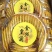 金丝皇菊