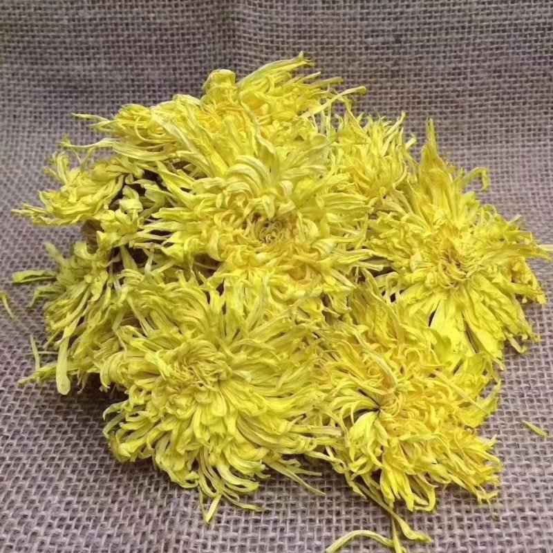 金丝皇菊