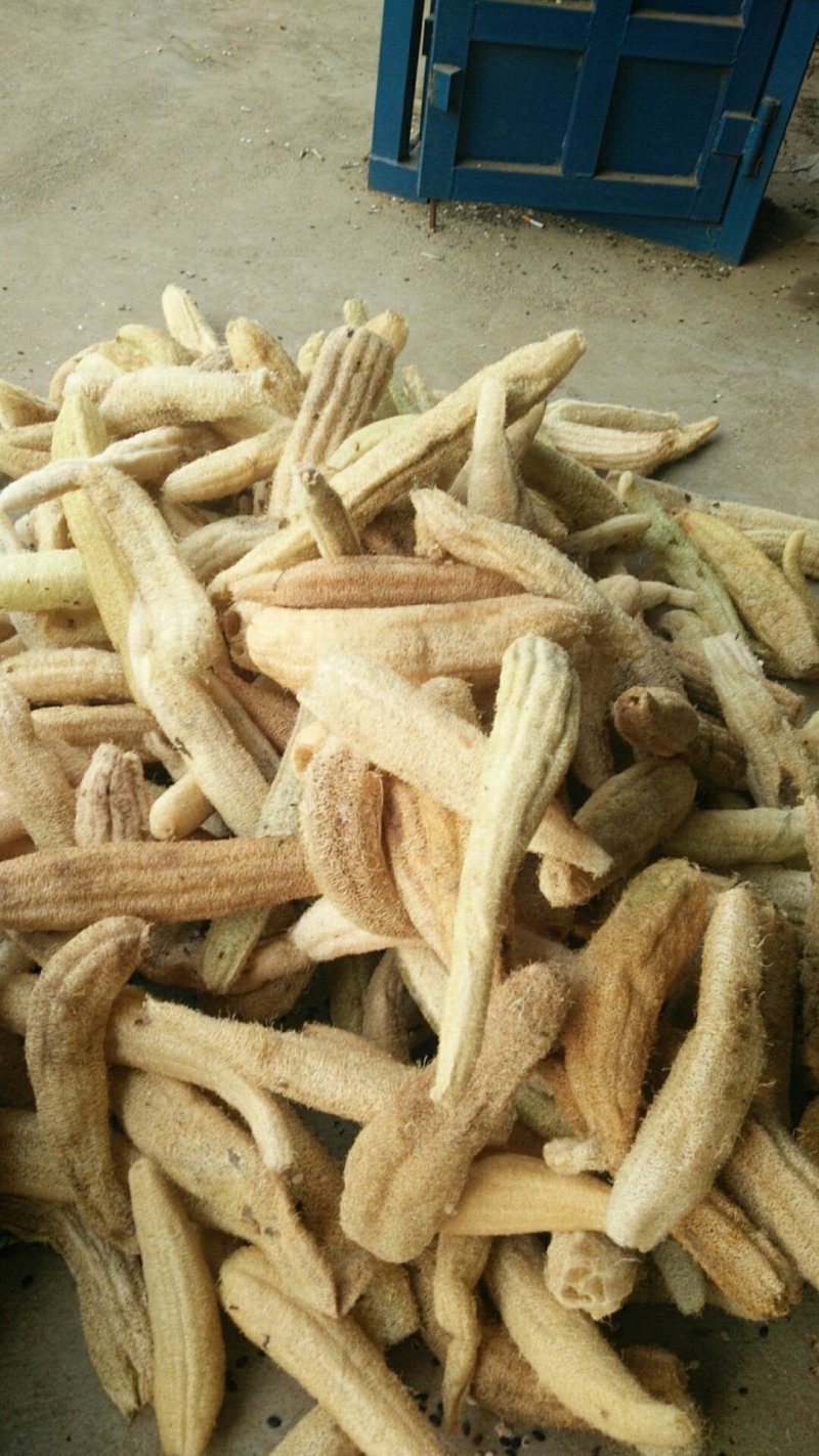 丝瓜络各规格批发零售量大优惠