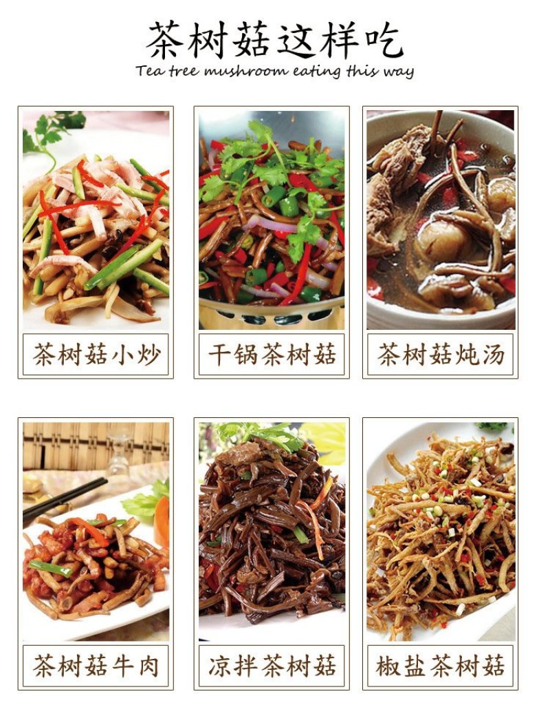 5号菇茶树菇现货江西茶树菇新货