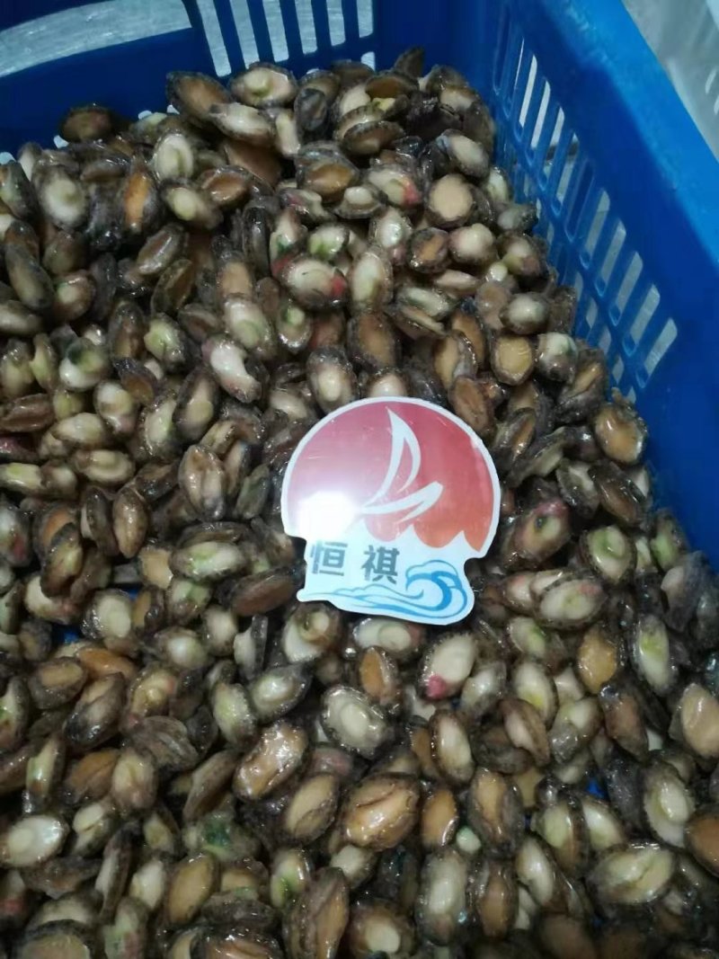 鲍鱼肉，漂烫鲍鱼肉，规格齐全